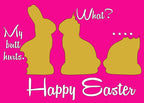 Chocolate Easter Bunny