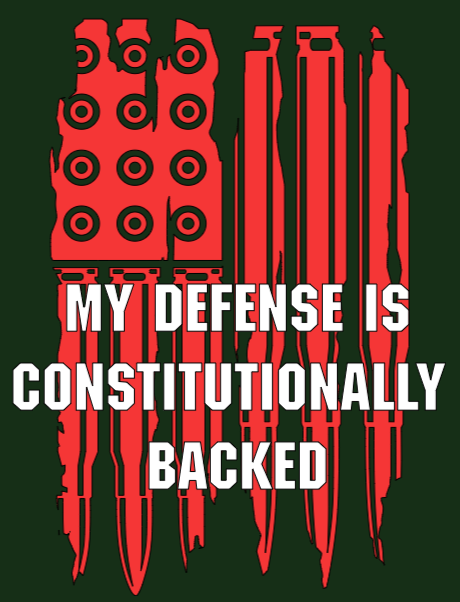 Constitutionally Backed Defense