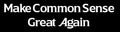 Make Common Sense Great Again