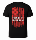 My Pride Flag