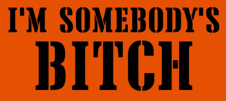 BUNDLE: Somebody's Bitch