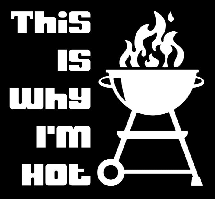 This is why I'm hot Apron