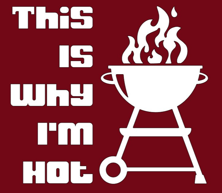 This is why I'm hot Apron