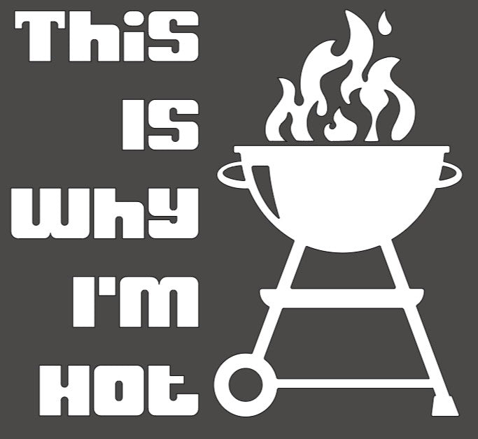 This is why I'm hot Apron