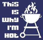 This is why I'm hot Apron